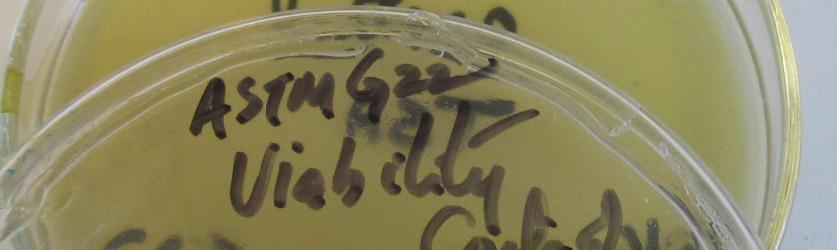 bacterial spores at 28 days in triplicate per Method A.