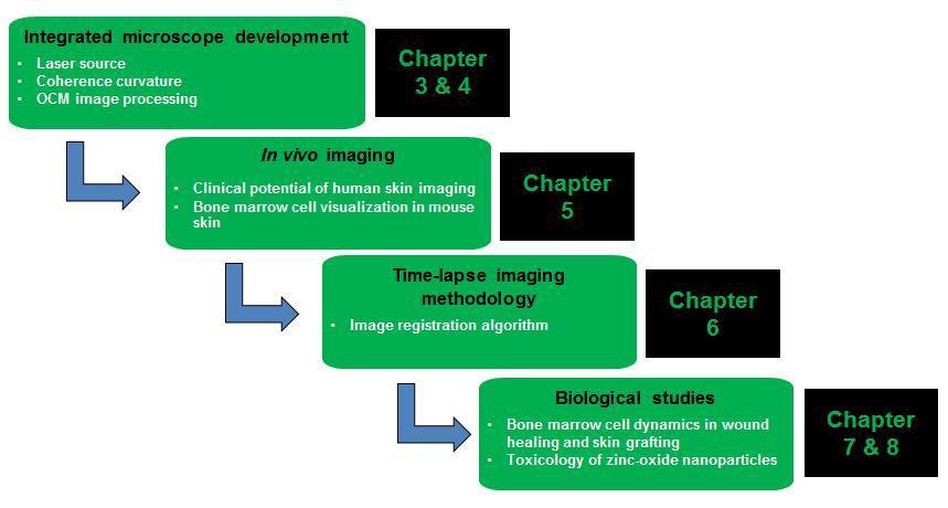 Figure 1.3 Illustration of the contents of this thesis. 1.5 Scope of the thesis The goal of this thesis is to systematically investigate improved methods for imaging skin in vivo and also to apply these methods for novel skin imaging studies.