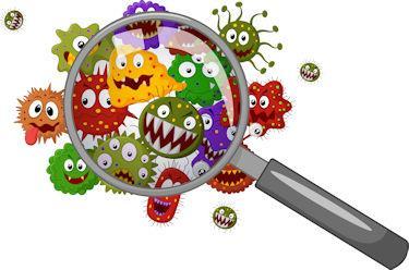 Pathogens Viruses Norovirus