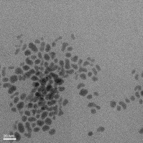 At 2 hours, many of the particles are at least 10 nm in size with most of the particles having non-spherical shapes and a large amount of aggregation between particles.