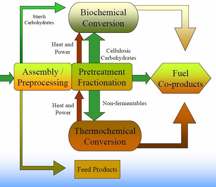 Biorefinery Concept Ethanol Hydrogen Chemicals Platform Chemicals Whole crop utilisation Diverse products/markets Economies of scale (large market driver)