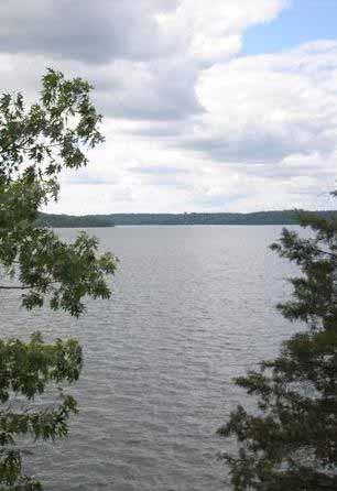 artedi) habitat quality and quantity in Wisconsin lakes In review: Canadian