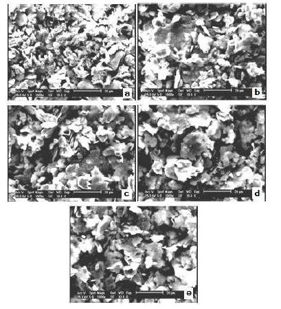 Fig 4. Particle size distribution of MAed powders in different milling time.