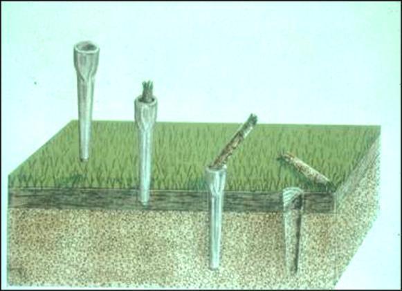 Core aeration allows air, fertilizer and water into the soil