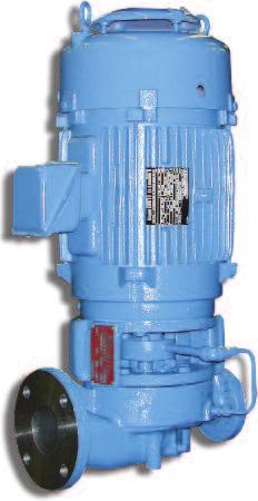 An optional air driven motor is also available. Two pump sizes are available in cast iron and 316SS construction.