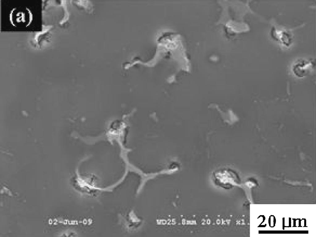 476 K. C. Park, B. H. Kim, H. Kimura, Y. H. Park and I. M. Park Fig. 6 SEM micrographs of corroded surface after 10 min in 3.5% NaCl solution; (a) TAZ551 and (b) TAZ951 alloy.