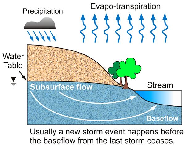 (Discuss) Compare Stream Discharge (Q) to Precipitation (P).