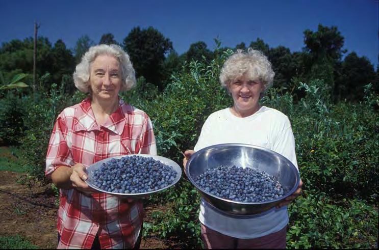 Agri-Tourism Some Tennessee Farms have a Big Opportunity to Berry