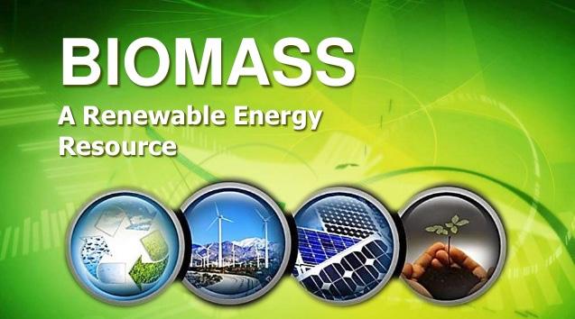 In fact there are many different forms of renewable energy already present and each has its own benefits and advantages. One of the main and mostly used forms of renewable energy is biomass.