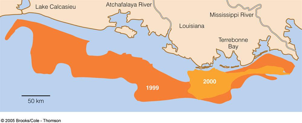 Gulf of Mexico s Anoxic (Low Oxygen) Dead Zone 2000 flow (Drought) 1999 Dead zone = 20,000 km 2