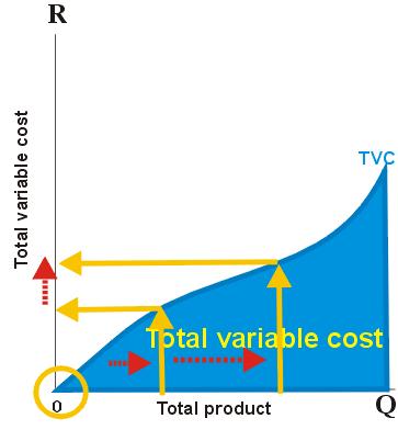 3. Variable Cost Variable cost is the cost that changes when total output changes - - it represents the cost of the variable inputs. It is also known as direct costs, prime costs or avoidable costs.