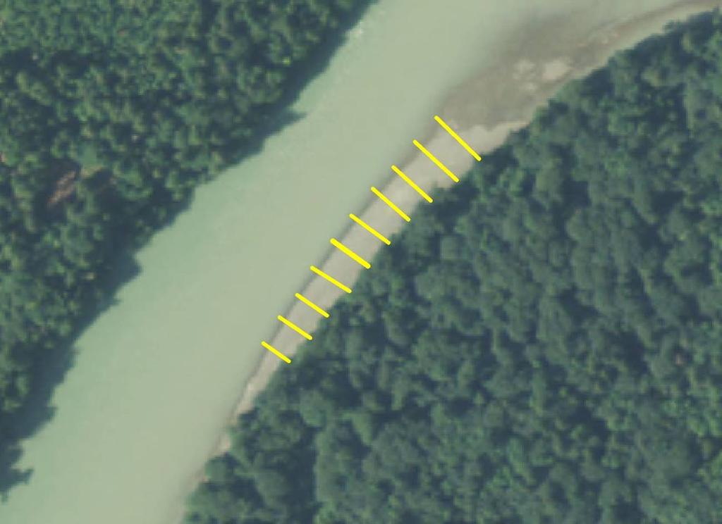 Monitoring Procedures Figure 7. Example alignment of Wolman pebble count transects on a Skagit River gravel bar.