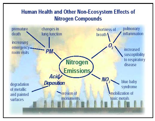 Effects of Excess N: Human health and non-ecosystem effects: Particulate matter (PM) especially < 2.