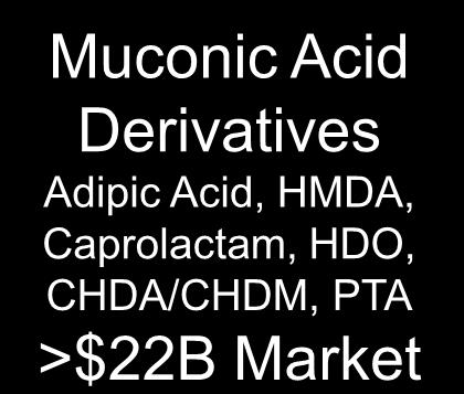 5B Market D(-)* Lactic Acid Commercialize