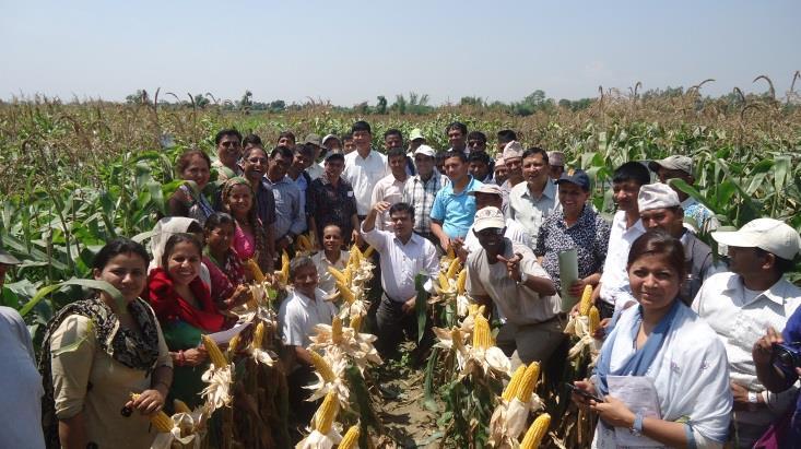 No. of institutes/companies On-farm demonstration of 1 st batch of HT hybrids
