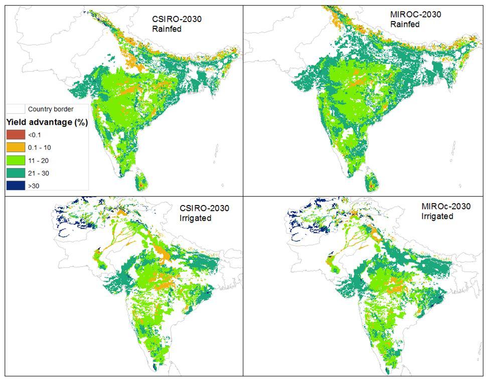 Heat stress projection in South Asia and advantage of HT hybrids Increase in