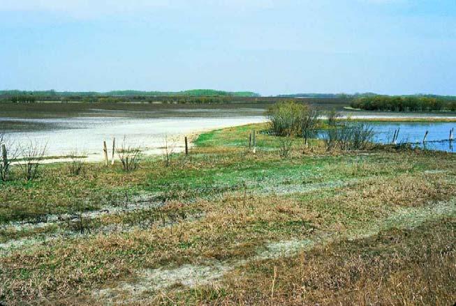 7 SALTS RELATIVE TO BACKGROUND Significant salt concentrations in soil and water can be naturally occurring sodic soils in the Southern Prairies groundwater discharge areas evaporative concentration