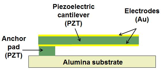 Fig. 5. Conductance measurements for the 2 8 0.1 mm 3 PZT cantilever. 2.3. Organic Cantilevers Processing (c) Fig. 4.