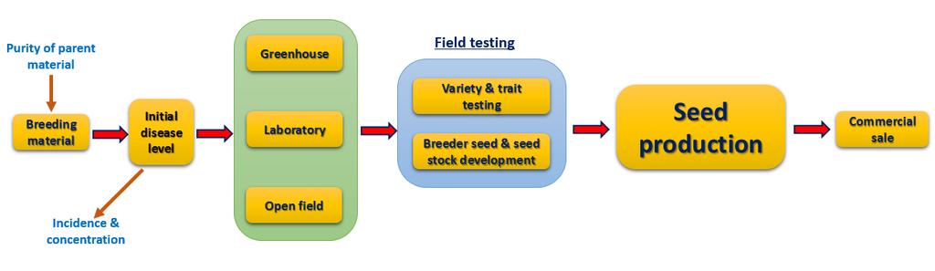 Motivation for our modeling approach Module 1 Module 2-4 Module 5 & 6 Module 7 Module 8 The seed goes through a pathway which has several components.