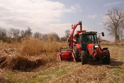 Mobilising biomass
