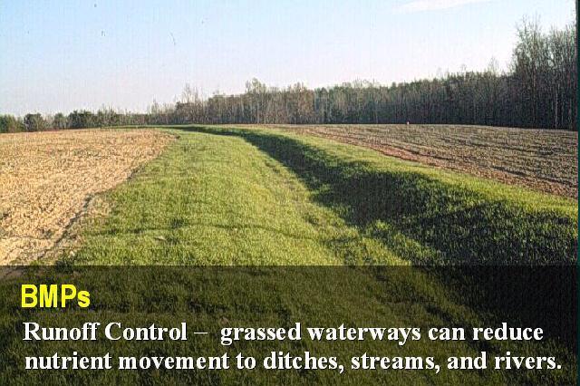 2. Grassed Waterways- natural or