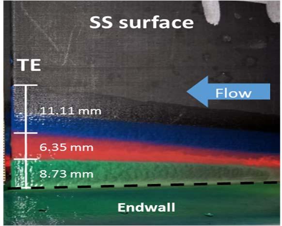 Figure 16: Flow visualization results on suction side surface for case BC As shown in the positions of these oil streaks in Figure