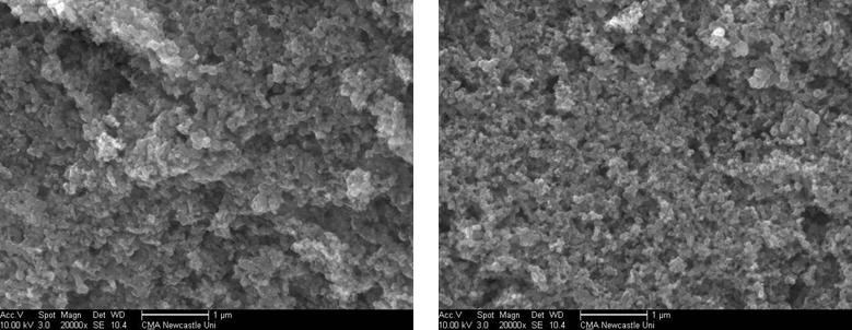 SEM MICROGRAPHS COLLOIDAL ELECTRODES Formation of some small visible agglomerates (catalyst/polymer)