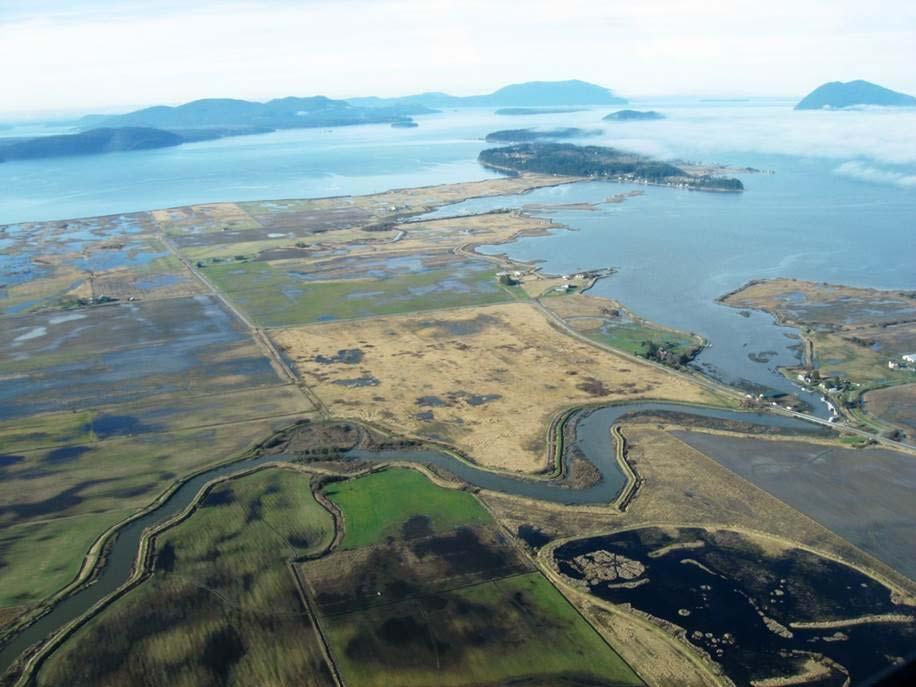 Skagit County NPDES PHASE II
