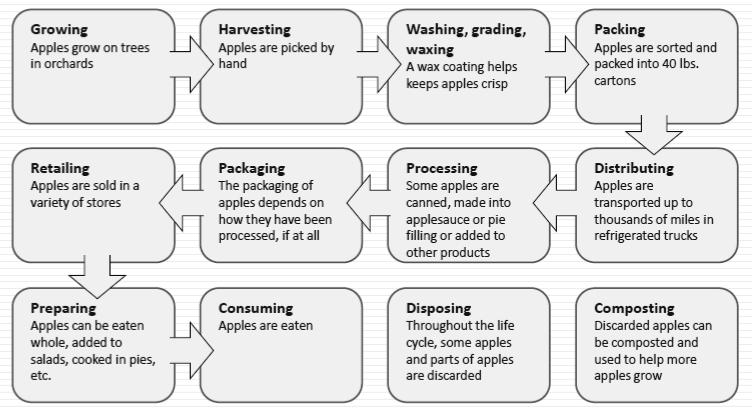 Food System Supply Chain Production (growing food) Processing (Transforming raw material into product for consumers) Distribution (shipping to retailer) Retail (selling to consumer) Consumption Food