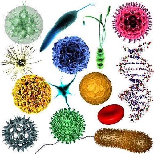 Microbes AND CULTURING