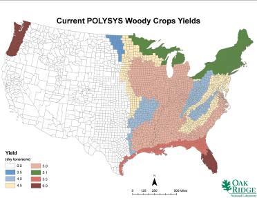 0 (baseline scenario) Dedicated Energy Crops: Yields Woody crops (poplar, pine,