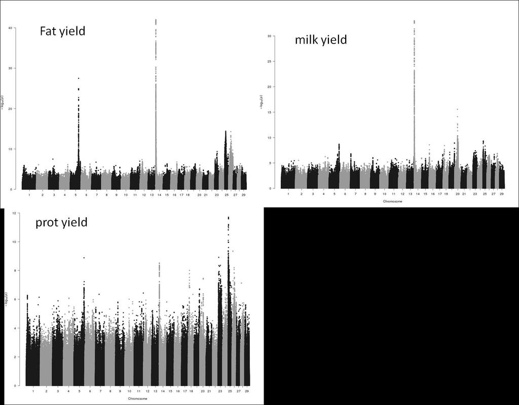 GWAS for milk traits; Nordic Red Cattle DGAT1 GHR 14 12 10 8 6 4 2 0 BTA25,