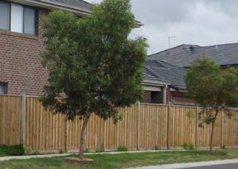 5.2.2 SIDE AND REAR FENCING All side and rear boundary fencing must be constructed from timber palings, to a height of 1800mm.