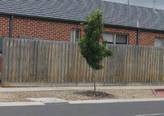 Wing fencing must also be constructed from timber palings, unless approved by the BBDAC. Wing fencing must be 1800mm (+/-50mm) in height with timber capping and timber posts exposed to the street.