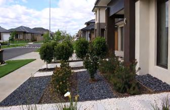 The minimum front landscaping works will include: Fine grading and shaping of landscaped and lawn areas.
