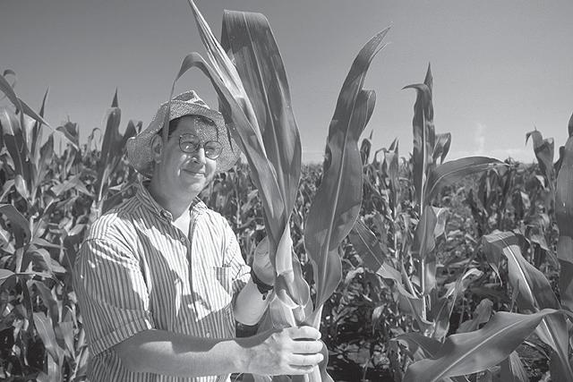 LESSON 34 Agricultural Phosphorus Management: Protecting Production and Water Quality Figure 34-17. A geneticist examines a new line of corn he developed.