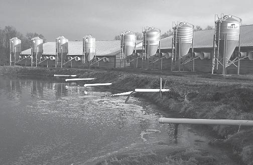 LESSON 34 Agricultural Phosphorus Management: Protecting Production and Water Quality Figure 34-20. State-of-the-art lagoon manure management system for a hog farm.