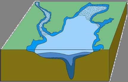 Oblique View of the Chesapeake Bay and its Tidal Tributaries Migratory Fish