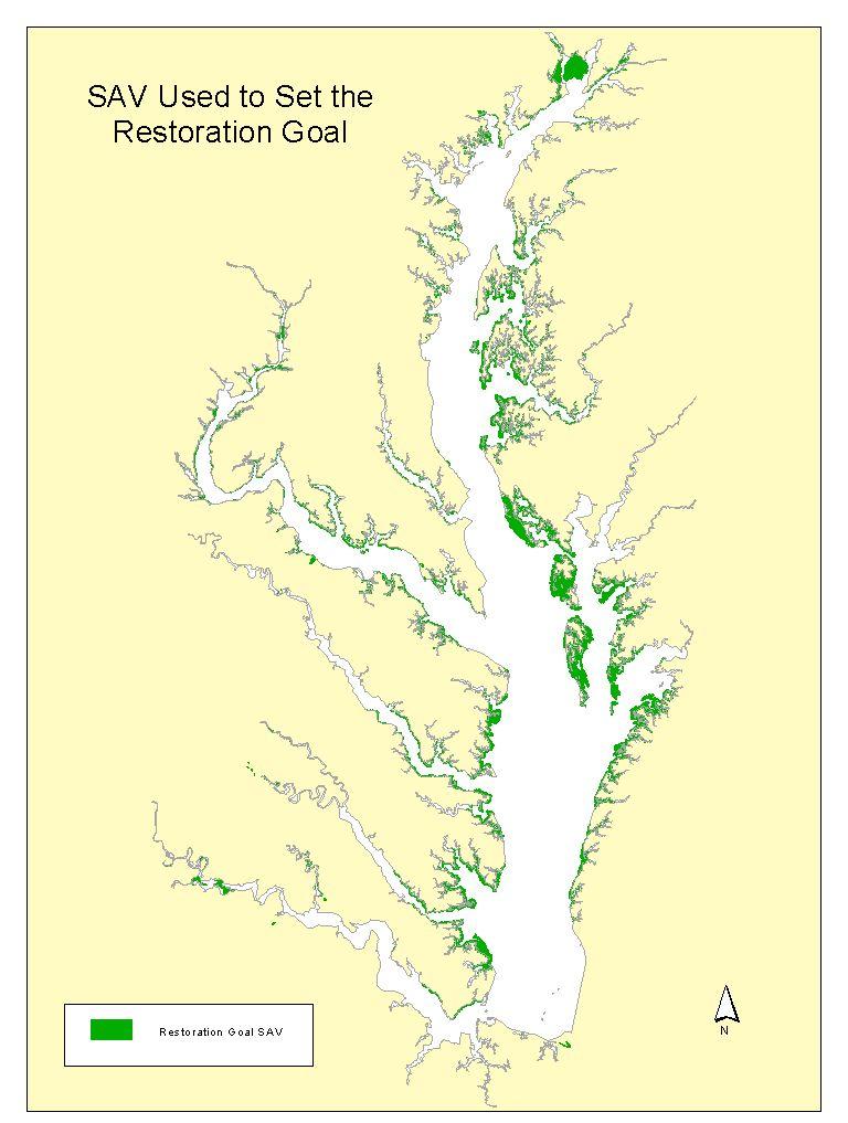 MD, VA, DE and DC have adopted the 185,000 acre Bay grasses restoration goal into their