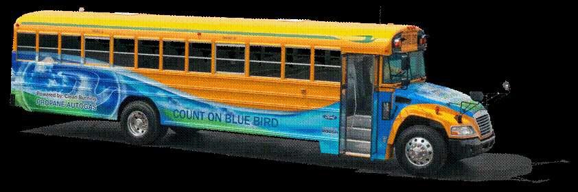 CONTACT US: blue-bird.