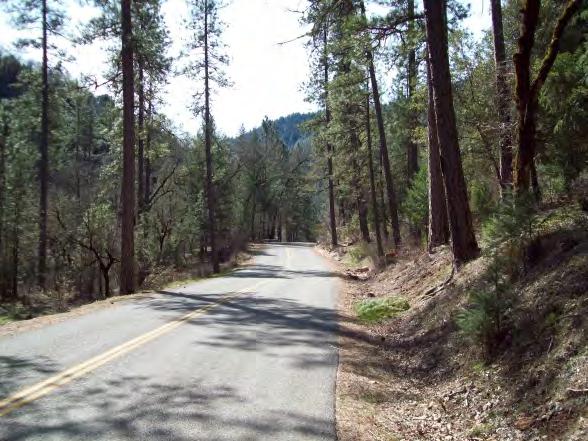 #10 Upper Trinity Mountain Road Vulnerable to wind-driven wildfires, fuels accumulation, and steep terrain; Protects residential subdivisions and mobile home park; and Provides emergency