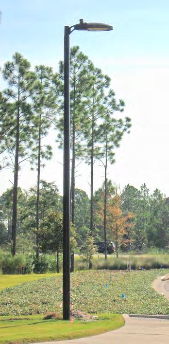 poles. A lighting system can be designed to illuminate the desired area or roadway using dedicated lighting poles.