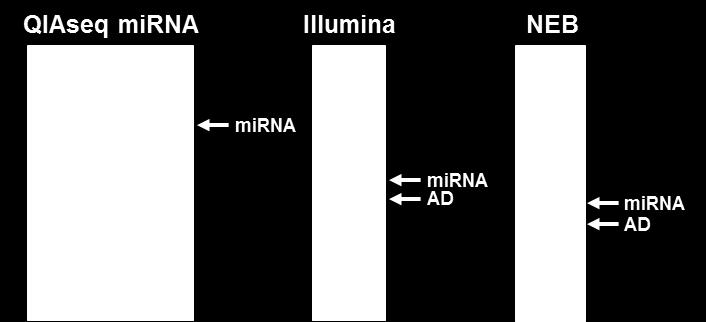 QIAseq mirna Library Kit: mirna specificity that outpaces the competition QIAseq mirna, Illumina TruSeq Small RNA, and NEB NEBNext on HCT 116 total RNA RNA Amounts: 100 ng (QIAseq mirna), 1 µg