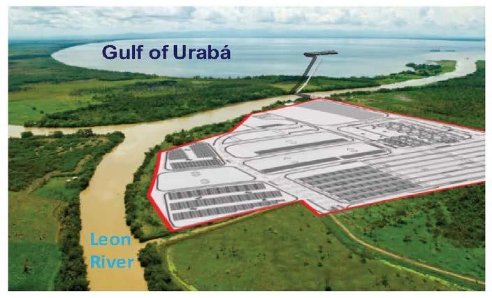 built on 95 acre privately owned site: At end of concession, unless renewed, offshore terminal reverts to State, State has option to buy onshore intermodal platform Port designed to