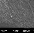 Microstructure Observation LV-SEM (JSM 6490LV SEM) was used to observe the microstructure of SSEs. Figure 2 shows the surface imaging for all samples microstructures.