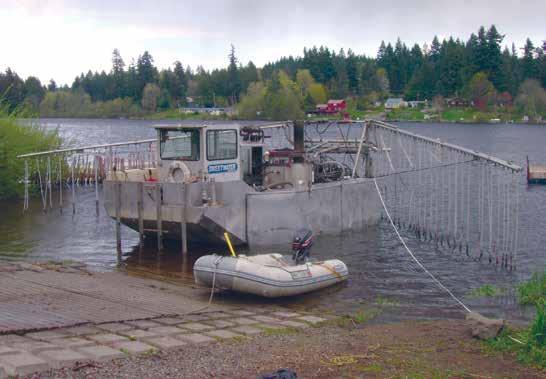 The treatment of Wapato Lake, Washington, in 2008 is an example of an effective P inactivation treatment that also had short-term adverse environmental impacts due to deviations from the technical