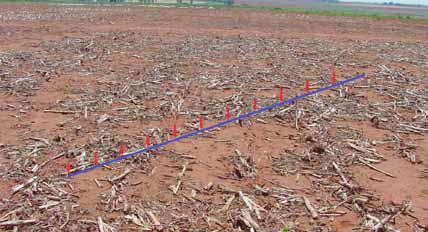 Soil cover is measured with a tape measure or line with pre-marked points diagonally laid over the planting direction and determining if there are bare soil or plant material under these points.