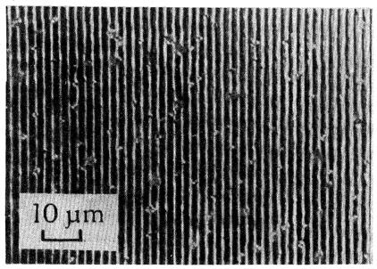6 nm, 100 ns Cd film on SiO 2 m = 257 nm,