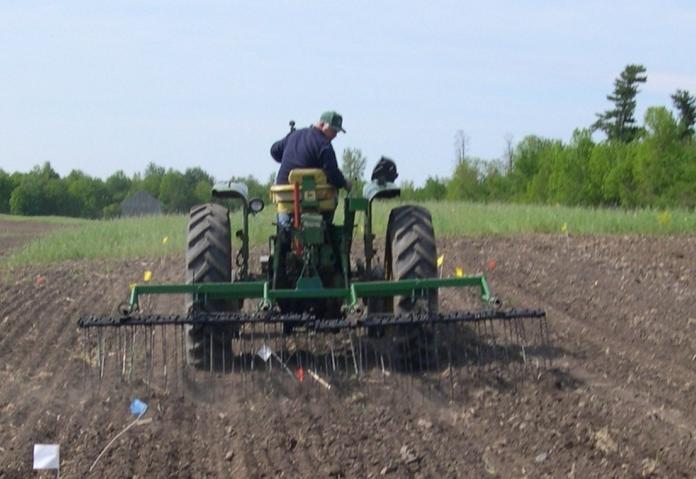 Tineweeding: A Weed Control Strategy for Canola Figure 2. Tineweeding at Borderview Farm, Alburgh, VT.