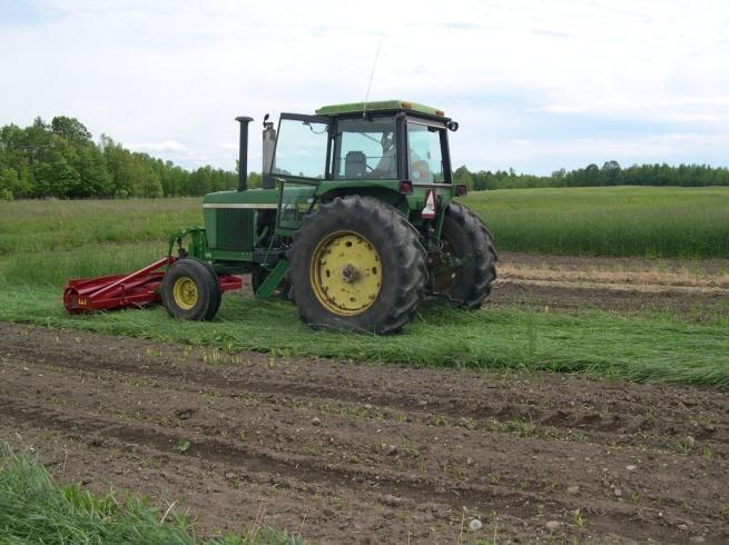 Cover Crop Termination Trial Cover crops are becoming more widely used throughout Vermont as a method of smothering weeds, deterring pests, trapping nutrients, and slowing erosion.